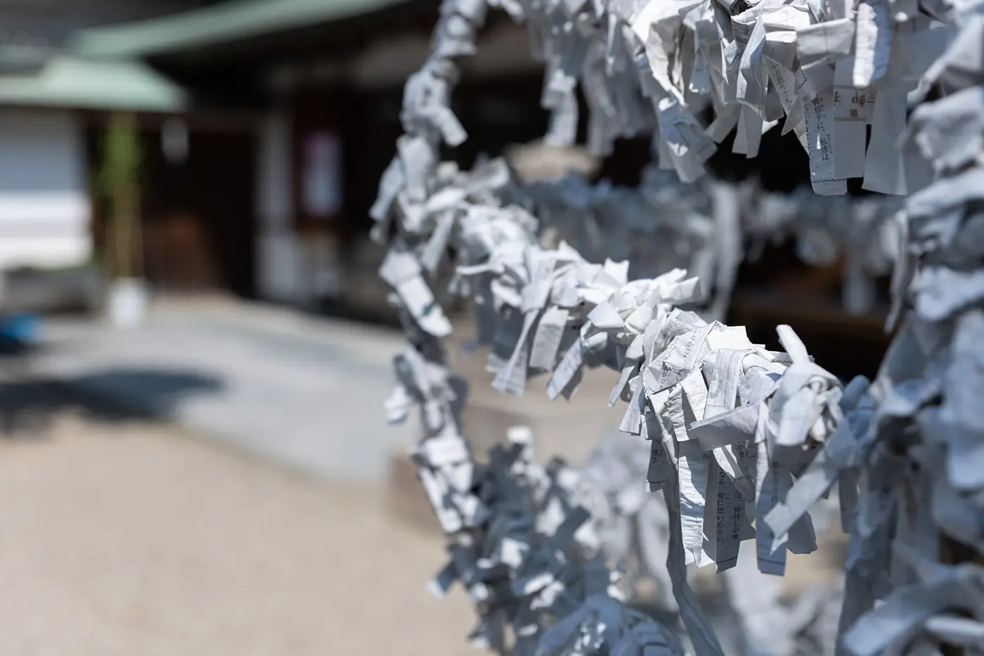 除了滿足浪漫願望外，它還能帶來治癒疾病、辟邪和生意興隆的祝福。