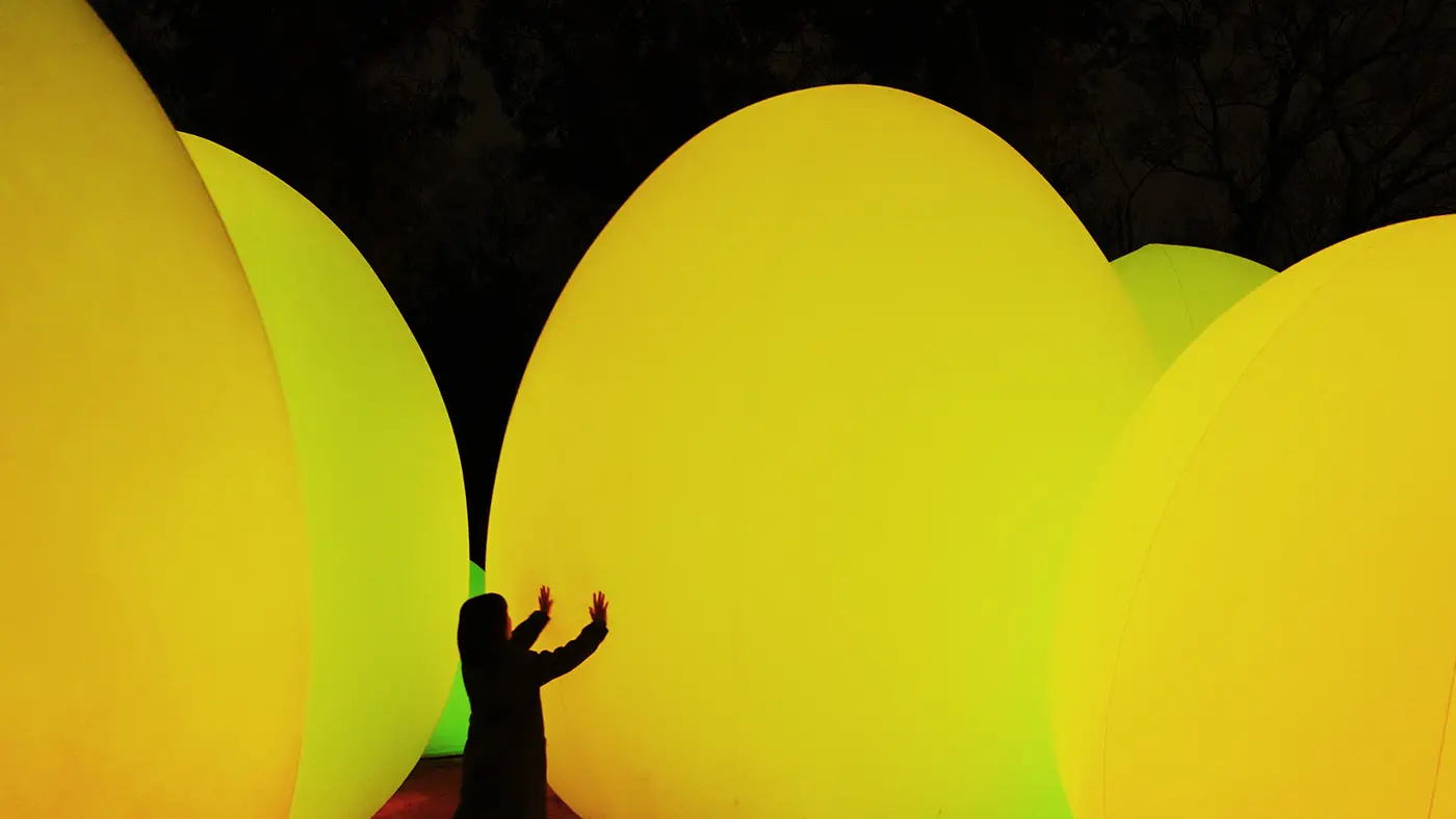 TeamLab 的「數位自然」是一個藝術項目，其理念是「自然本身在其自然狀態下就成為了藝術」。