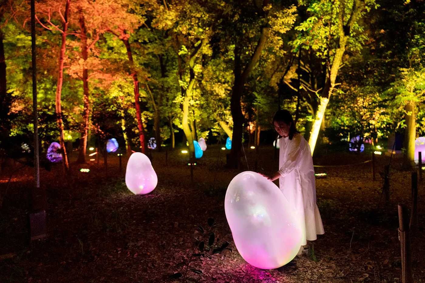 TeamLab 也參與了“大阪燈光節”，這是一個點亮大阪夜晚的燈光秀活動。