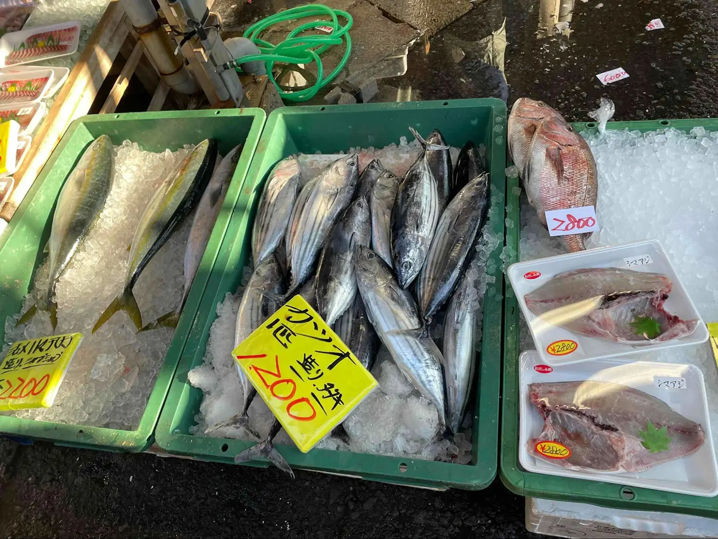 魚の卸売り
