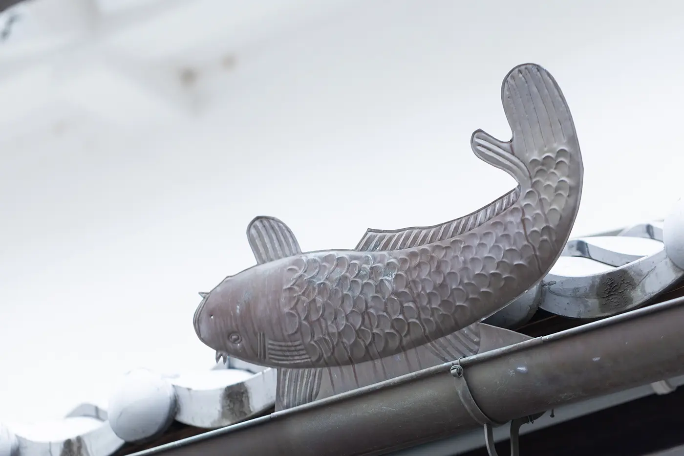 屋根に付いた鯉の銅板
