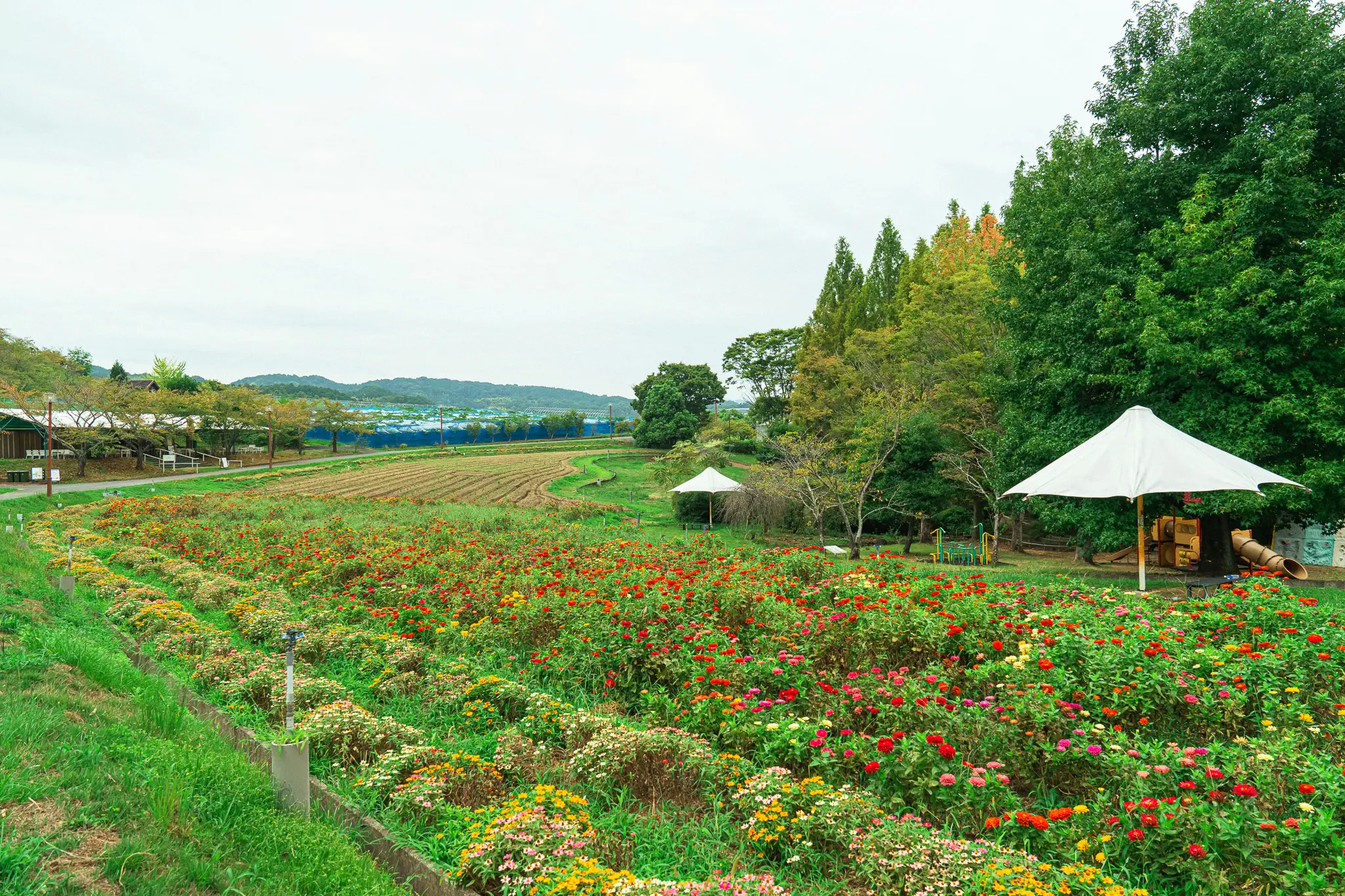 구 동조촌 주변의 풍경
